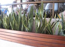 Kwikfynd Indoor Planting
merino