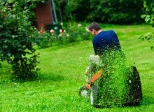 Kwikfynd Lawn Mowing
merino